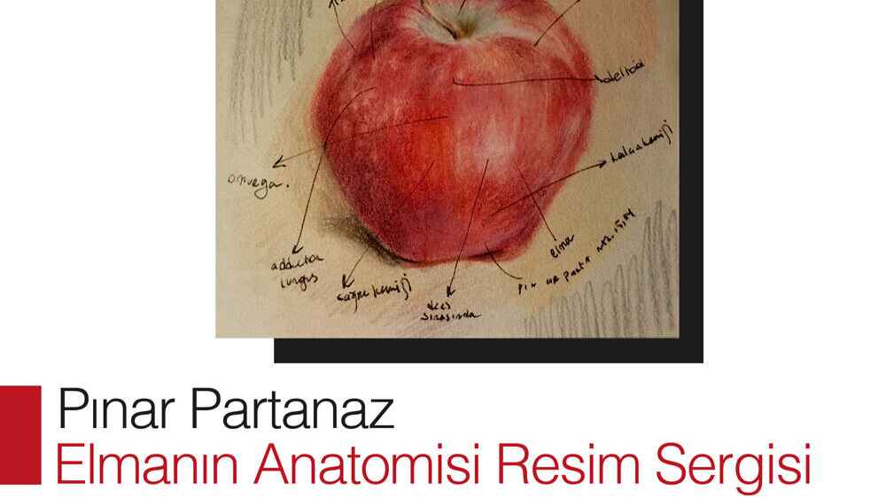 “Elmanın Anatomisi” Resim Sergisi