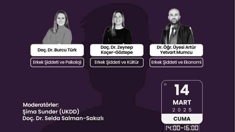 Kadına Yönelik Erkek Şiddetinin Sosyolojik Psikolojik ve Ekonomik Boyutları