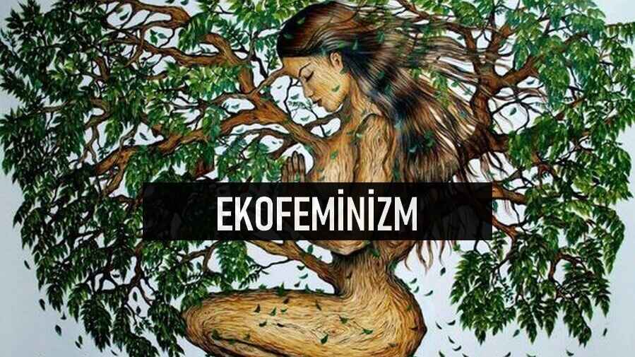 Çevre Sorunları için Radikal Bir Çözüm Önerisi: Ekofeminizm