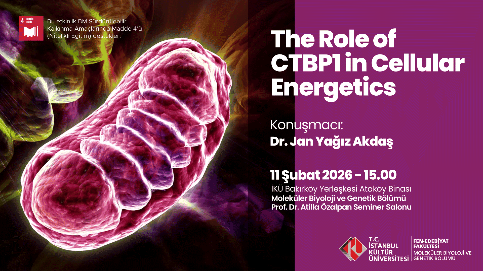 The Role of CTBP1 in Cellular Energetics